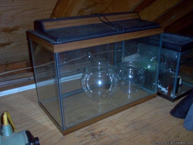20 Gallon Rectangle Aquarium with Ligthted Hood & extras - Price: 65.00