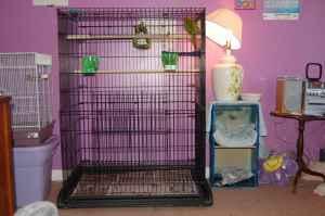 4'x 3' flight cage for sale - Price: $45.00
