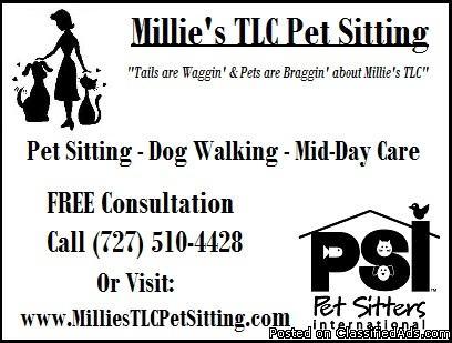 Professional Pet Sitter/ Dog Walker Pinellas & Tampa FL - Price: ask for quote