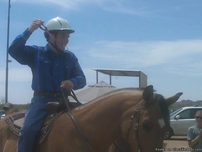 Therapeutic and Beginner Riding Lessons - Price: 35 per hour