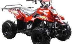 I have kids 110cc atv's for sale equipped with safety features. I have several colors to choose from such as green camo, pink camo, red, blue, and black. These atv's are brand new and come with limited bumper to bumper warranty. Atv's are fully automatic
