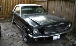 I HAVE A BLACK FORD MUSTANG 289 V8, WITH ALL ORIGINAL PARTS. I STARTED THE RESTORATION PROCESS; HOWEVER, I DONT HAVE THE TIME TO FINISH THE PROJECT. IF YOU ARE INTERESTED YOU MAY CONTACT ME VIA 713 292 8386 AND ASK FOR KAYE.