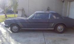 fOR SALE IS A 1966 FORD MUSTANG ALL NUMBERS ARE MATCHING..NEEDS TLC...6 CYLINDERS...CLEAN ENGINE ..WITH NEW ALTERNATOR...NO LEAKS IN RADIATOR....OR ENGINE......ASKING $2700 for quick sale. CALL ME AT
561-355-2760...ASK FOR ADRIAN.............NO SMOG