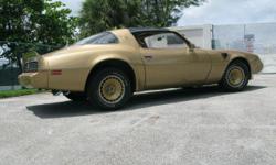 Check us out at Www.MotorVation1.com
&nbsp;
1981 TRANS AM 4SPD 5.0L EXCELLENT CONDITION SURVIVOR CAN BE DRIVEN DAILY OR USED AS A WEEKEND TOY.. BRAND NEW TIRES AND MECHANICALLY 100%, THE PICS TELL THE WHOLE STORY.. CALL 786-768-3269 FOR ANY INFO OR