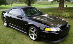 I have a mustang GT 35 Anniversary,with a carbon fiber Steeda package on it,the car has a bunch of work done to it.runs and drives great,there's around 73,000 miles on it.please call or text with any questions,thanks for looking. 561-688-3930