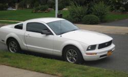 2005 White Mustang $13,500.00
Mileage: 59,000
Engine: V6
Transmission: Automatic
Interior: Grey (leather)
Standard: Air Conditioning, Power Door Locks, Six Compact Disc, Power Steering, Tilt Wheel,
Dual Front Air Bags, Power Windows, Cruise Control, Alloy