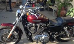 1200 cc Harley Davison Sportster 2008, Exellent &nbsp;condition 16,600 miles,color maron