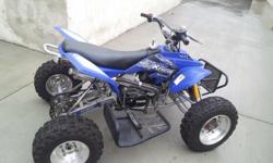 I HAVE A ALMOST BRAND NEW 2008 XTREME TYPHOON ATV QUAD 125CC FOR 1500$ OBO CASH .. IT RETAILS FOR NORMALLY 2,000$ , I ONLY USED IT TWICE... EVERYTHING LOOKS BRAND NEW.. RUNS GREAT!! AND FAST&nbsp;
PLEASE CALL ME IF YOU ARE INTERESTED..
--