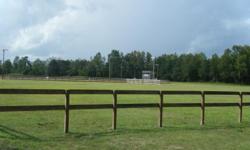 Beautiful ranch located in Coward, SC. This property features two newly constructed horse barns with 8 stalls and 8 tack rooms, 100'x60' pavilion, two-story arena building with lights and sound system, fifty-four RV campsite spaces with AC power and