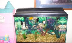 29 gallon fish tank with stand. Includes Fish, pump, filter, and other extras