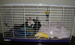 i have 2 very friendly rabbits, one is pure black- his name is Ebony, the other is white with brown spots-her name is Honey. I have the cage, a big bag and a half of shavings, the litter pan, bowls, water feeder, a bin feeder, vitamins and one half bag of