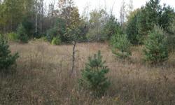 $90,000
30 Piney Acres ? St Clair County&nbsp;
Brockway Township ? Section #22&nbsp;&nbsp;&nbsp;&nbsp;&nbsp;&nbsp;&nbsp;&nbsp;&nbsp;&nbsp;
&nbsp;
Additional Features
2 Road Frontages - 660? on Each Rd.
Lot Size - 660x1320
80% Wooded ? Nice Pines & Poplar