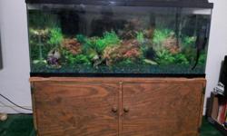 GREAT DEAL : 55 Gallon Fish Tank Comes With Hood.. Lights.. And Filter System.. The Wood Stand Is Hand Made.. Heavy Duty.. Has Lots Of Storage Room.. And Can add Wheels On Bottom For Easier Moving Access.. If Interested call : --