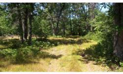 80 acres of mixed pine and hardwoods, some pine plantation, miles of trails throughout, great stand locations for hunting.&nbsp; Property is enrolled in DNR Managed Forest Law Program.&nbsp; Trail to be placed down easement location by seller.&nbsp;
