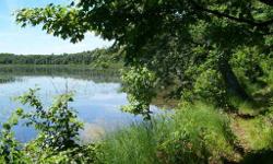 There is over 2,700 feet of frontage on two lakes and with that comes incredible privacy, trails and tons of wildlife.&nbsp; Well, holding tank and power at site.&nbsp; Building/s must adhere to setback area of East cement slab.&nbsp; Boat, fish, camp or