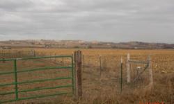Best deal on the area with center pivot, irrigation pumps&nbsp;and lines, $80k value. &nbsp;Compare to farm land without pivot! &nbsp;Located on quiet paved road N. of Marsing.&nbsp; This parcel can be purchased as package with&nbsp;two homes&nbsp;and