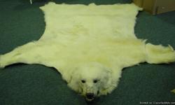 Very nice antique Polar Bear rug. It measures 7.5' long by 6.5' wide. Great shape and ready to diplay on floor or wall. Make me an offer!!!