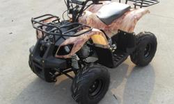 we have just lowered our price for this 110cc atv, this is a new atv.
warranty
speed regulator
remote kill switch
foot brake as well as a hand brake
electric start
4 stroke...no need to mix gas and oil
Automatic with reverse
storage racks
full function