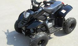 NEW,this atv is great for small kids up to adults,
It has a speed control to regulate your childs speed,a remote kill switch,foot brake,fully automatic,4 stroke,electric start...With reverse
This atv retails for $900 but we are offering it at our