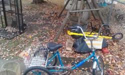 Adult trike it has a small basket in front and big basket in the back it's great to use every day use for work and other things if interested please give me a call at -- ask for alisha