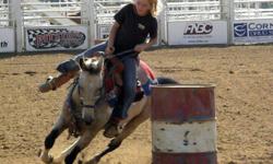 This pony is awesome!
&nbsp;
This pony has won multiple saddles
This pony is automatic
This pony runs all speed events
This pony has been to the National Finals in Pueblo Colorado for the Little Britches circuit and placed 12th
This pony is competitive