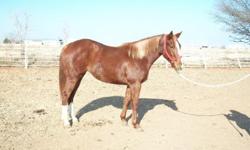 Babe is 3yr filly. Well started on the barrels with excellent breeding.