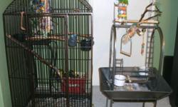 Young Severe Macaw with I large cage and 1 play stand
Beautiful colors and very loving and friendly even with children.