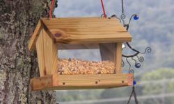 The pic is of a bird feeder...we paint them too...Tennessee Vols or your favorite team as well as sunflowers.&nbsp; =- or lakenorris@hotmail.com&nbsp;We also make the teac cup in a saucer feeder and water hole....very cute and hangs.&nbsp; Not in stock