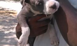 2 females 1 male has all shots asking $150 call 2564973784
