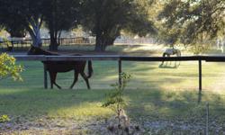 Seven stall, 22 acres...excellant care 6 paddeocks full of grass. Includes feed and hay...hands on care. Call 386-698-3513 for more info. Crescent City is a perfect place for a horse to have a quiet, serene place to play and rest.