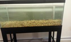 brand new 40 gallon breeder tank with stand and comes with rocks.if interested contact me at 443 983-3216