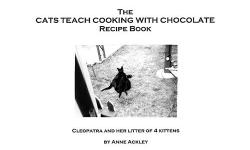 All-chocolate recipe book with 7 recipe categories:&nbsp; cakes, candy, cookies, fruit, ice cream, pies, spiders (not the insects) & other treats.
Each recipe category is printed on different colored paper for a rainbow effect, and, to help you find your