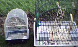 the cockatiel cage has a calcium perch and a wooden perch, and a swing hung by sisal rope, has a 9 step wooden ladder and both food/ water dishes this model of cage did not have a bottom grate, the small cage has it's dishes and a small swing. pick up