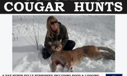 Colorado Cougar hunts!! &nbsp;Booking now for spring. &nbsp;You could have you hunt filmed as well!!
DKOAB10034GW
DKO20053