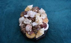 DECORATIVE SEA SHELL WALL HANGING, MEASURES, 9X12X6"...........