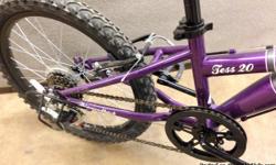 The Diamondback Tess 20" youth girls' hardtail mountain bike gets the little ones out on the trail! It's built around a rugged high-tensile steel frame, with a suspension fork absorbing the bumps for additional control and comfort. Alloy linear-pull