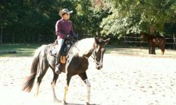 Experienced rider in gaited, western and english disciplines will exercise your horse at your place or ours on the BSF trailsystem near Jamestown. &nbsp; &nbsp; We have room for 2 temporary or monthly boarders, &nbsp;stalls have runs and barn has covered