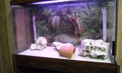 I have 5 fish tanks for sale. 30 gallon Hex 30 gallon long, 20 gallon long, 2 10 gallon tanks.
they all have under gravel filter system, includes pump, decorations, stand, filter, gravel, heater, rocks, and thermometer.
tanks have hoods with light.