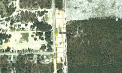 Florida Real Estate for sale by owner.
FLORIDA LAND
FLORIDA LAND is Just off HWY 17 in Satsuma.
This Florida Cleared Land is for sale by the owner for only $2,500.00 thats right $2,500.00 for each lot.
10 CLEARD 1/4 ACRE LOTS in row now 11/24/2010