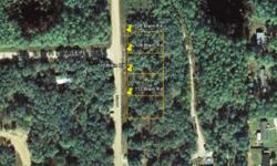 Florida land for sale by owner, Florida Land sales by owner, Florida Real Estate Lots by owner, Acres & acreage land by owner, Farm land for sale by owner!
Florida Land, buildable, high and dry, .22 acres home site Building Lot located at:
1006 Creager