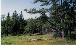 Deer and Turkey Hunters Dream Property.
(4) 2+ Acre Parcels. Oak & Pine trees, views Mt. Hood & Adams .
12 miles West Goldendale WA
$125,000 . $25K Down $800. monthly
561-688-4000 (@7% interest.)