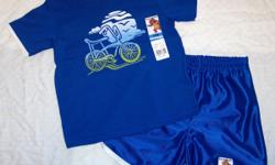 Infants short set from "Garanimals", size 24m, blue with white trim and screen print of the sun and a bicycle.&nbsp; T-shirt 100% cotton, shorts 100% polyester.&nbsp;&nbsp;To purchase visit: &nbsp;http://www.stores.ebay.com/childrenschoiceclothing
