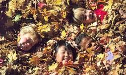 It's that time of year again when you look in your front and backyards and your looking at that leaf clean up you have to do, NO WORRIES!
Contact LEAF IT TO US! We have a fast and easy way for you to get rid of those leaves and it's inexpensive. FAST AND