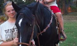 www.roseofsharonranchandevents.com
Pony rides,hayrides,fishing,campfires,and more!
--