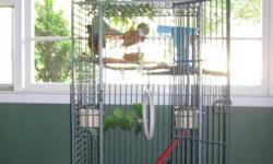 Freestanding cage approx 5 tall. Originally housed two conures, but will also comfortably hold a larger sized bird, or a few smaller sized birds.
Includes play perch on top of cage, a flat shelf perch, 2 food bowls, a rope perch, and a swing. I also have