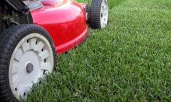 Residential: *Servicing the Downriver Area*
Weekly Lawn Maintenance
Bi-Weekly Lawn Service
Spring & Fall Clean-Ups
Lawn De-Thatching
Lawn Seeding
Shrub Trimming
Field/Vacant Lot Cut
Vacation Cuts
To schedule your appointment for Lawn Maintenance call: