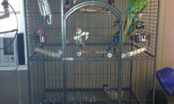 I HAVE A MILITARY MACAW HIS NAME IS ROSCOE AND I HAVE A BLUE AND GOLD MACAW HIS NAME IS JOLIE. THEY ARE FRIENDLY WHEN THEY GET TO KNOW YOU. THEY WILL SAY HELLO CRACKER AND I LOVE YOU. THEY ARE CAGED TOGETHER AND ARE IN A VERY LARGE CAGE. I AM MOVING OUT