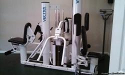 TOP OF THE LINE 3 POSITION EXCERCISE MACHINE MADE BY VECTRA. NEW THEY ARE OVER $6800. THIS ONE IS USED BUT IN EXCELLENE CONDITION. IT IS PERFECT FOR A HOME GYM. There are three weight stacks (up to 285# each) to this Vectra on-line 3800 home gym. The