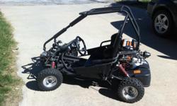 Kids dune buggy style go kart 90cc engine. electric start, lights, horn,&nbsp;kill switch multi point safety harness.
less than 20 hrs of use