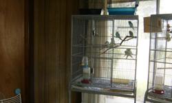 i have 10 parakeets with a big cage for sale. Cage has 2 small doors, easy access to get into. Bottom of the cage rolls, as well as it has a removable tray for easier cleaning. I put newspaper down so that all I have to do is remove the newspaper. I had